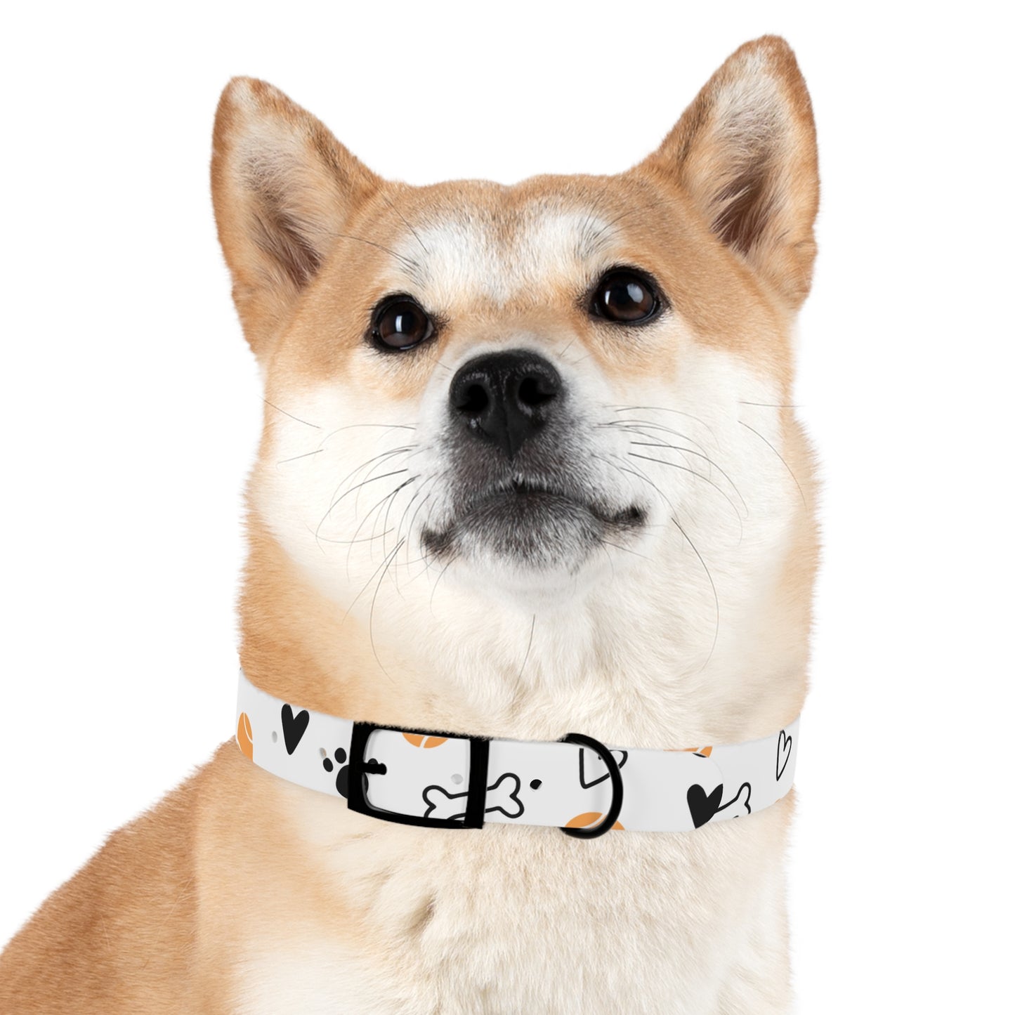 Dog Collar