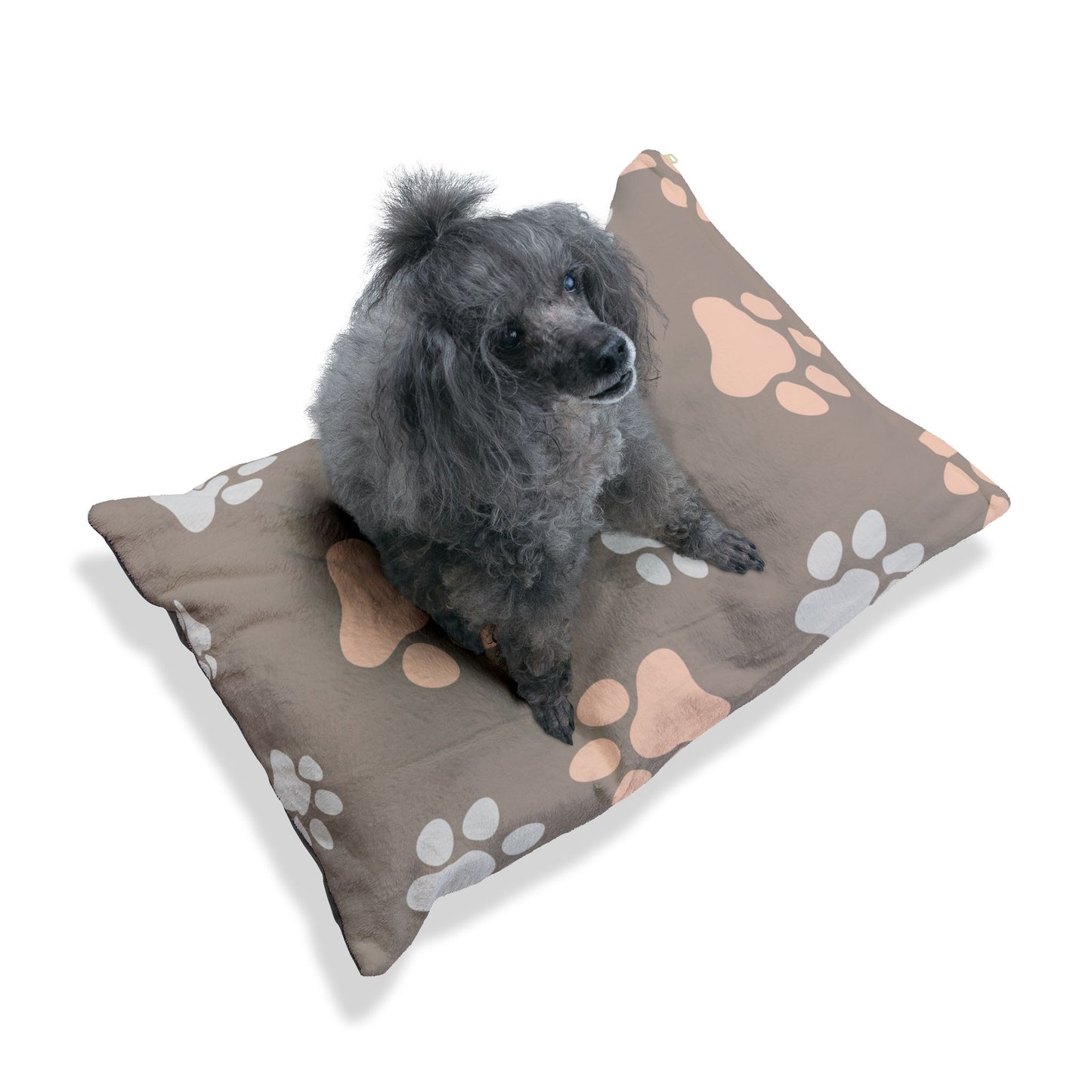 Pet Bed