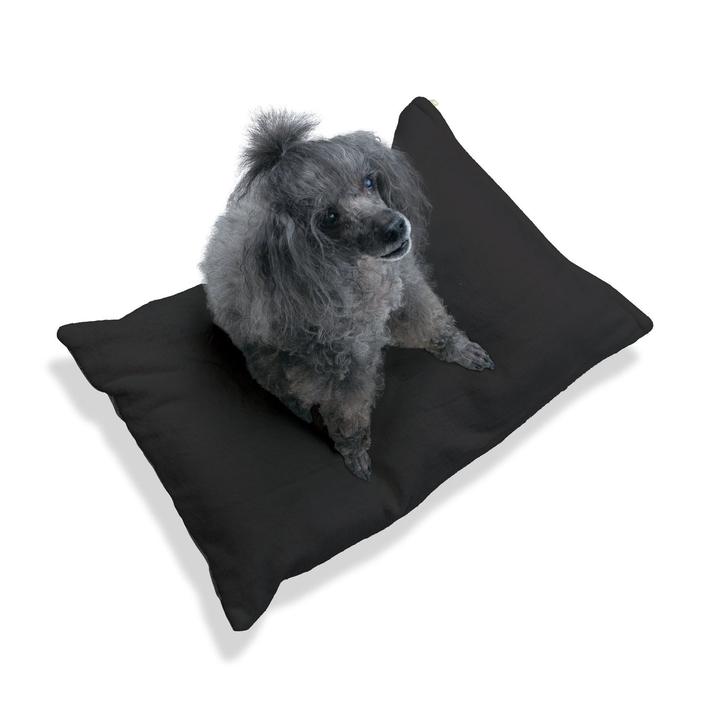 Pet Bed