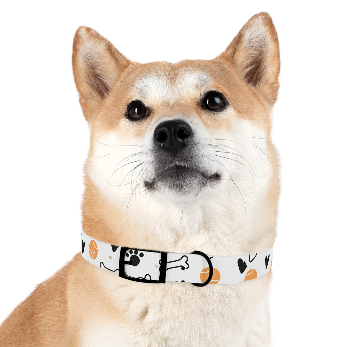 Dog Collar