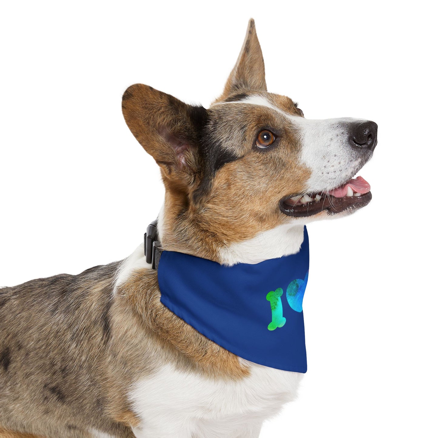 Pet Bandana Collar