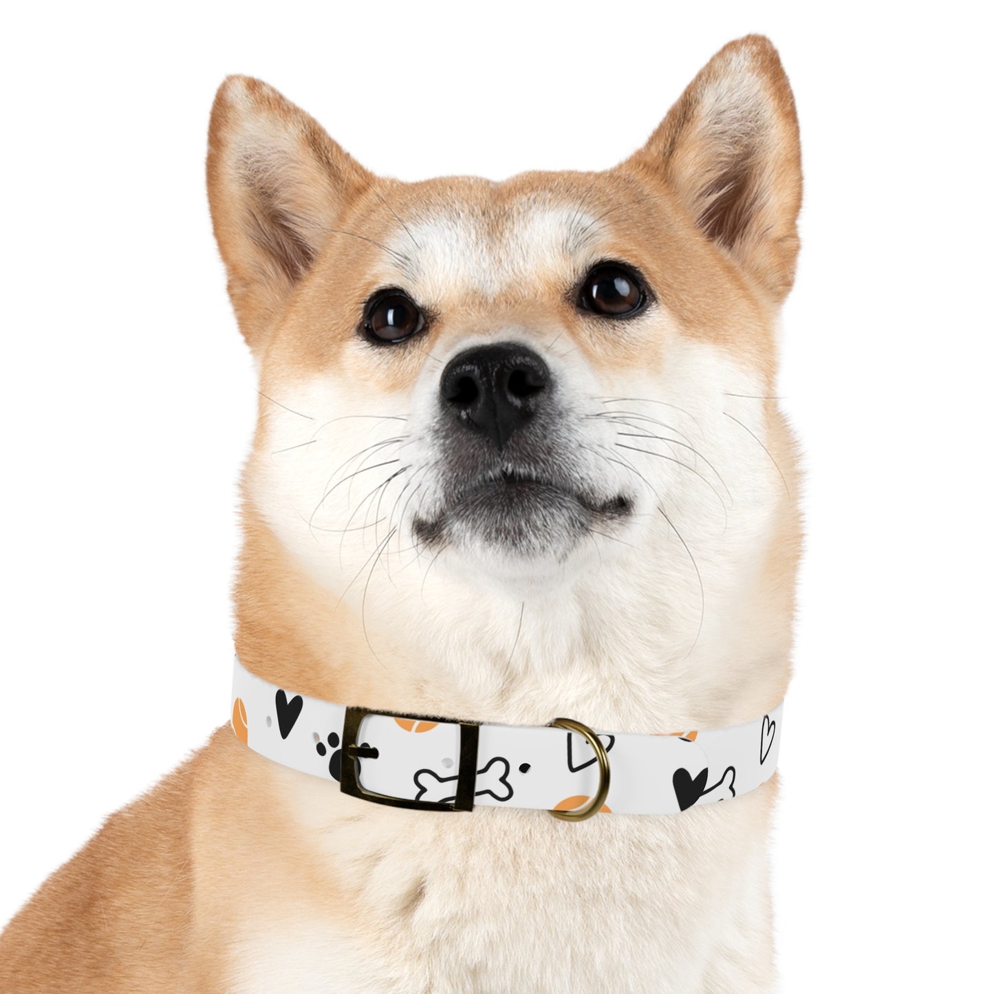 Dog Collar